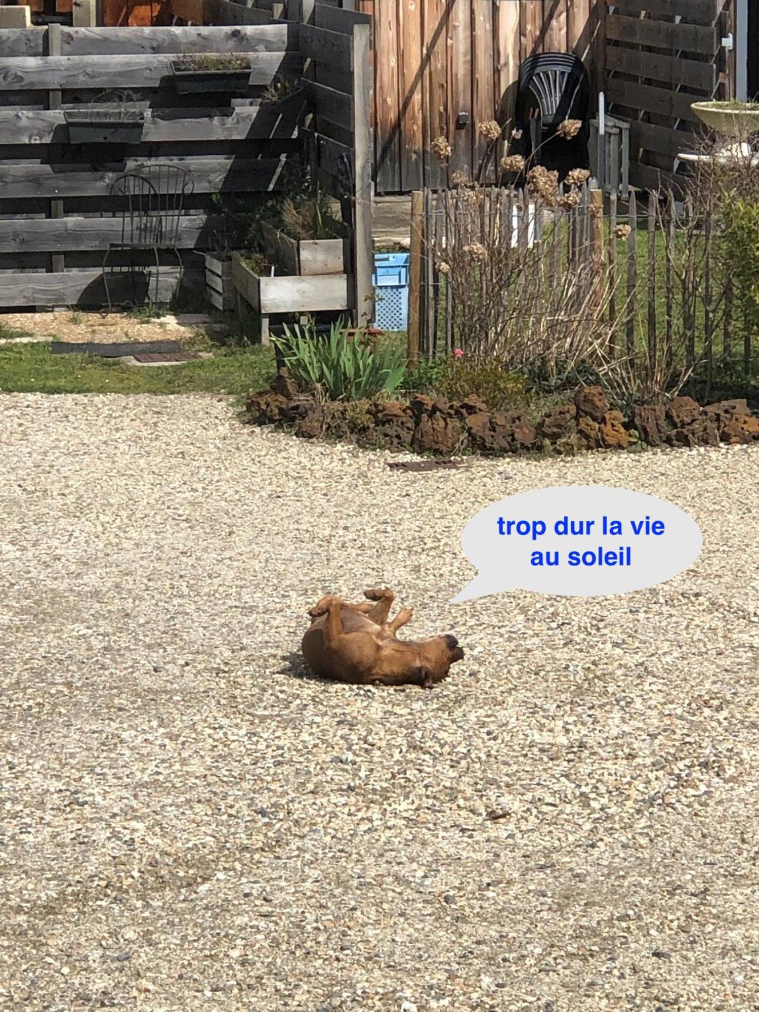 Les Logis D'Argent Studio Independant Parking Entree Autonome Linge De Lit Et Serviettes Wifi Fibre Tv Connectee Mimizan-Plage Kültér fotó